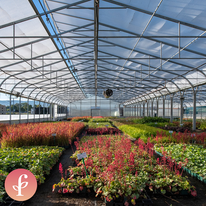 Sponsor Fehrle Stauden